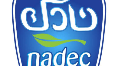 أرباح «نادك» تهبط 73% إلى 30.4 مليون ريال في الربع الثالث 2026