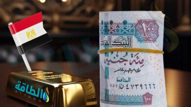 أسعار الذهب في مصر