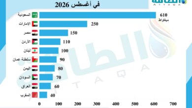 أكبر 10 دول عربية مستوردة للألواح الشمسية الصينية
