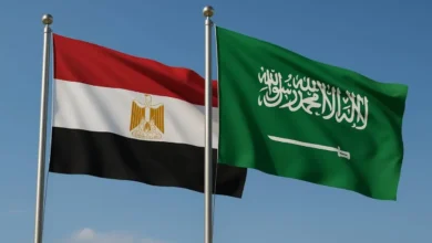 التبادل التجاري بين السعودية ومصر يتجاوز 443 مليار ريال خلال 10 سنوات.. ونموه يقترب من 3 أضعاف
