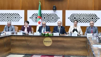 التنقيب عن المعادن في الجزائر