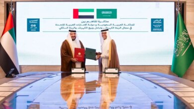 الربط الكهربائي بين السعودية والإمارات