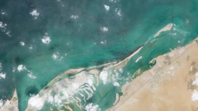 الرياح والأمواج والتيارات.. ما الذي يقوله العلم عن بقعة النفط في الإمارات؟ | علوم