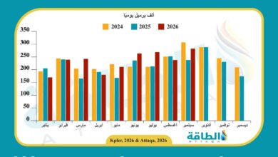 تطور واردات ليبيا من المنتجات النفطية (2024 -2026)
