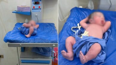 "الملك المصري الرضيع" يخطف الأنظار بوضعية طريفة ويحصد ملايين المشاهدات | منوعات