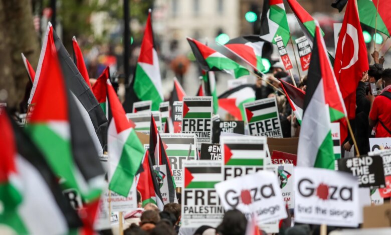تضامن يجتاح أوروبا.. 68 ألف فعالية لفلسطين منذ بدء حرب غزة | أخبار