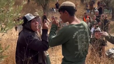جرافة وفتوى ومستوطنة..حرب ثلاثية على زيتون الضفة | سياسة