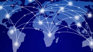 Why the CEMS MIM is a Unique Pathway to a Global Career