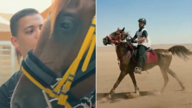 سيف الحق.. حكاية طفل نجا من فظائع الحرب بغزة ليصبح فارسا بميادين الأردن | سياسة