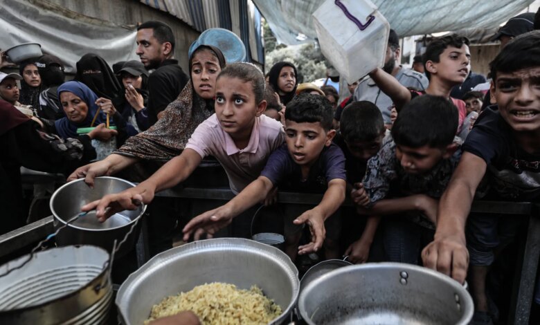غزة أمام شبح مجاعة جديدة.. الأغذية العالمي يقلص مساعداته إلى القطاع | أخبار