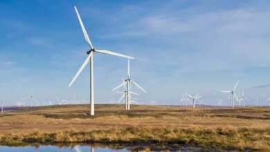 مزارع رياح إسكتلندا تعاني سوء القوانين