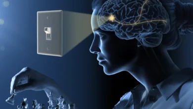نوبل للطب 2026.. ماذا لو تمكن ابن سينا من التحكم في دماغك؟ | علوم