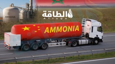 واردات المغرب من الأمونيا الصينية